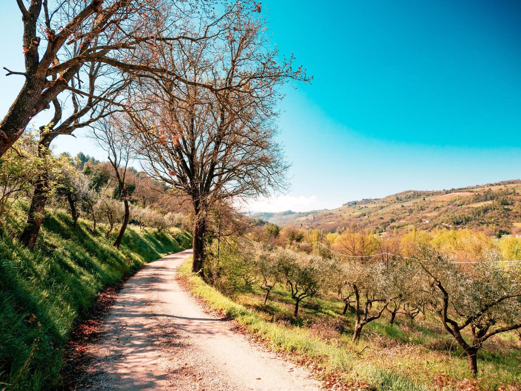 Ostello Bello Assisi Беванья Экстерьер фото